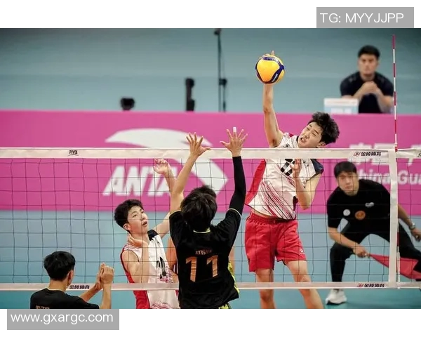 重庆排球队实力强劲荣登全国排球个人能力排行榜第八位